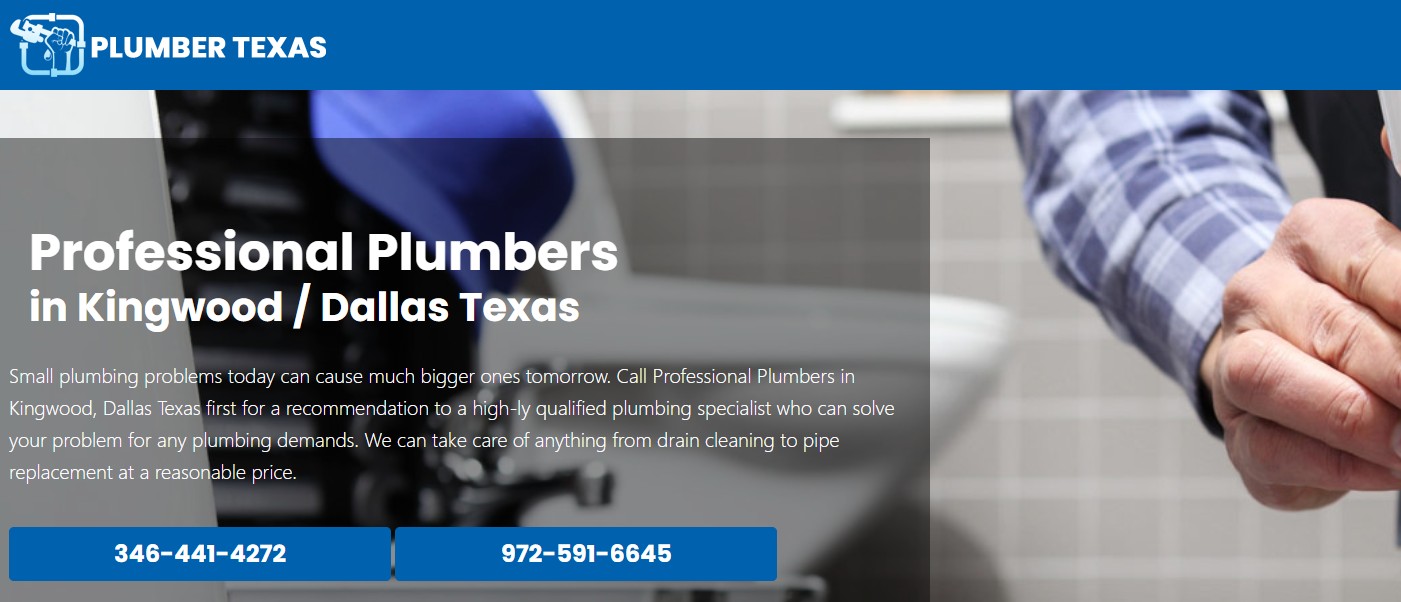 Image for Plumber Irving with ID of: 6591221