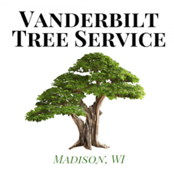 Image for Vanderbilt Tree Service with ID of: 6591714