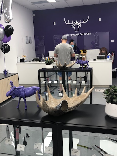 Image for Purple Moose Cannabis (Oshawa) with ID of: 5924058