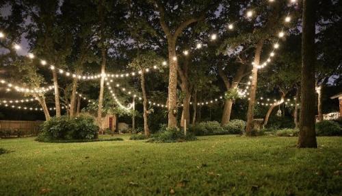 Image for First Choice Lights with ID of: 5924197