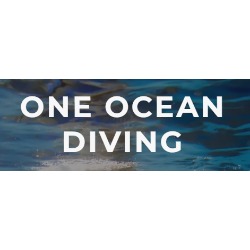 Image for One Ocean Diving with ID of: 6596614