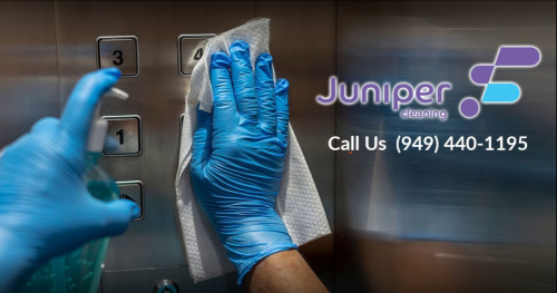 Image for Juniper Cleaning with ID of: 5927141