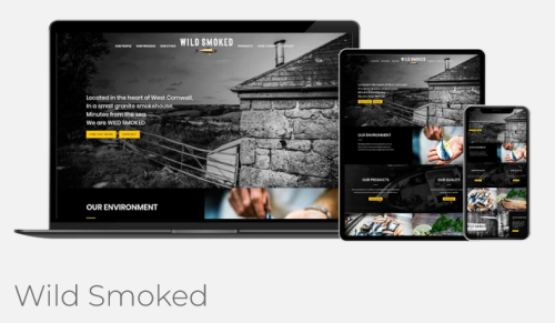 Image for Arctic Online Web Design with ID of: 5928437