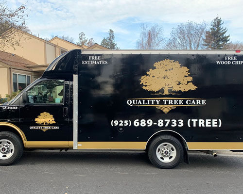 Image for Quality Tree Care with ID of: 5933244
