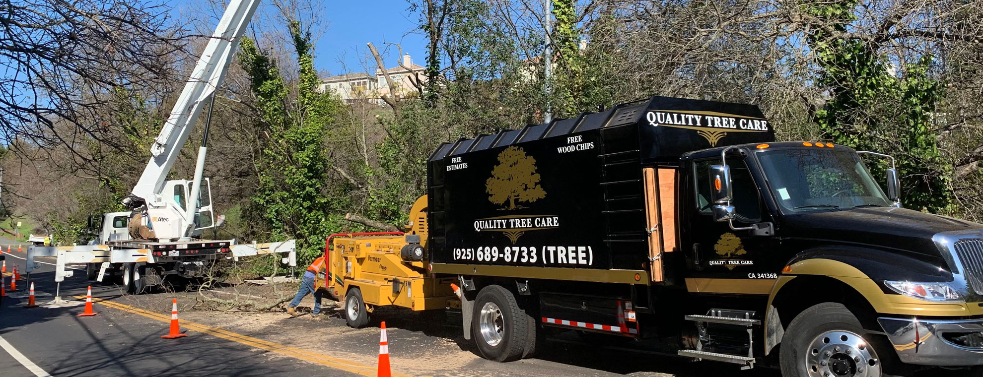 Image for Quality Tree Care with ID of: 5933248