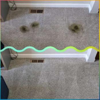 Image for Spanking Clean And Green with ID of: 5937746