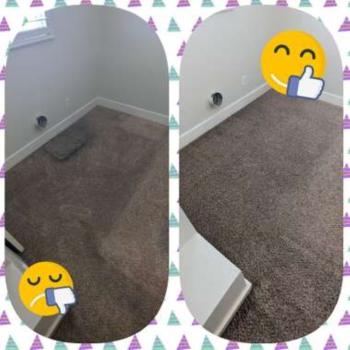 Image for Spanking Clean And Green with ID of: 5937750