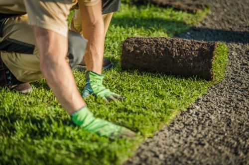 Image for Harmony Turf with ID of: 5949094