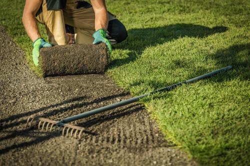 Image for Harmony Turf with ID of: 5949095