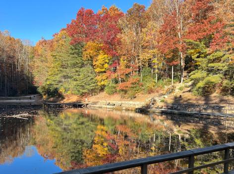 Image for Spacious Skies Campgrounds - Bear Den with ID of: 5951210