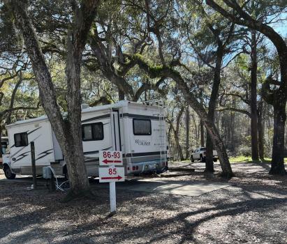 Image for Spacious Skies Campgrounds - Savannah Oaks with ID of: 5952609