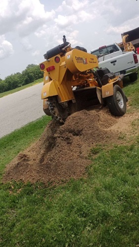 Image for Arbor Junkies Tree Service with ID of: 5952876