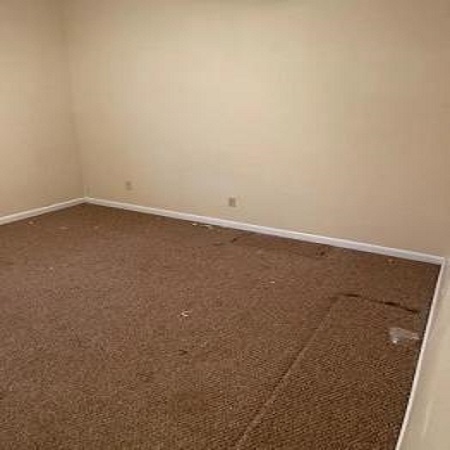 Image for Just Call Scott with ID of: 5953118