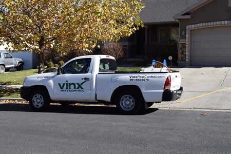 Image for Vinx Pest Control with ID of: 5955591