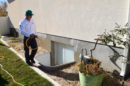 Image for Vinx Pest Control with ID of: 5955593