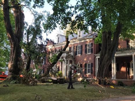Image for Metro Detroit Tree & Firewood with ID of: 5958282