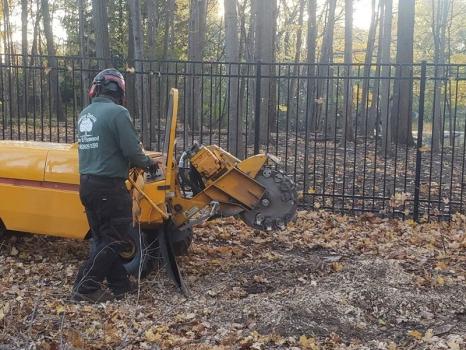 Image for Metro Detroit Tree & Firewood with ID of: 5958332