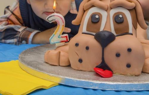 Image for K9Cakery with ID of: 5961392