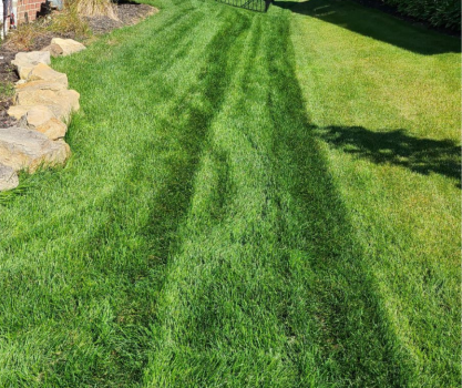 Image for Weston Landscape & Design with ID of: 5962990