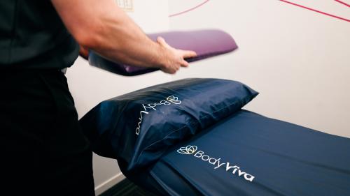 Image for BodyViva with ID of: 5963200