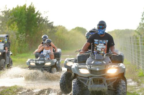 Image for ATV Riding Miami with ID of: 5973197