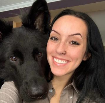 Image for Working Wolf Dog Training with ID of: 5974491