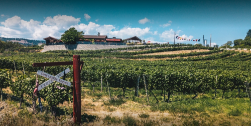 Image for Dirty Laundry Winery with ID of: 5976172