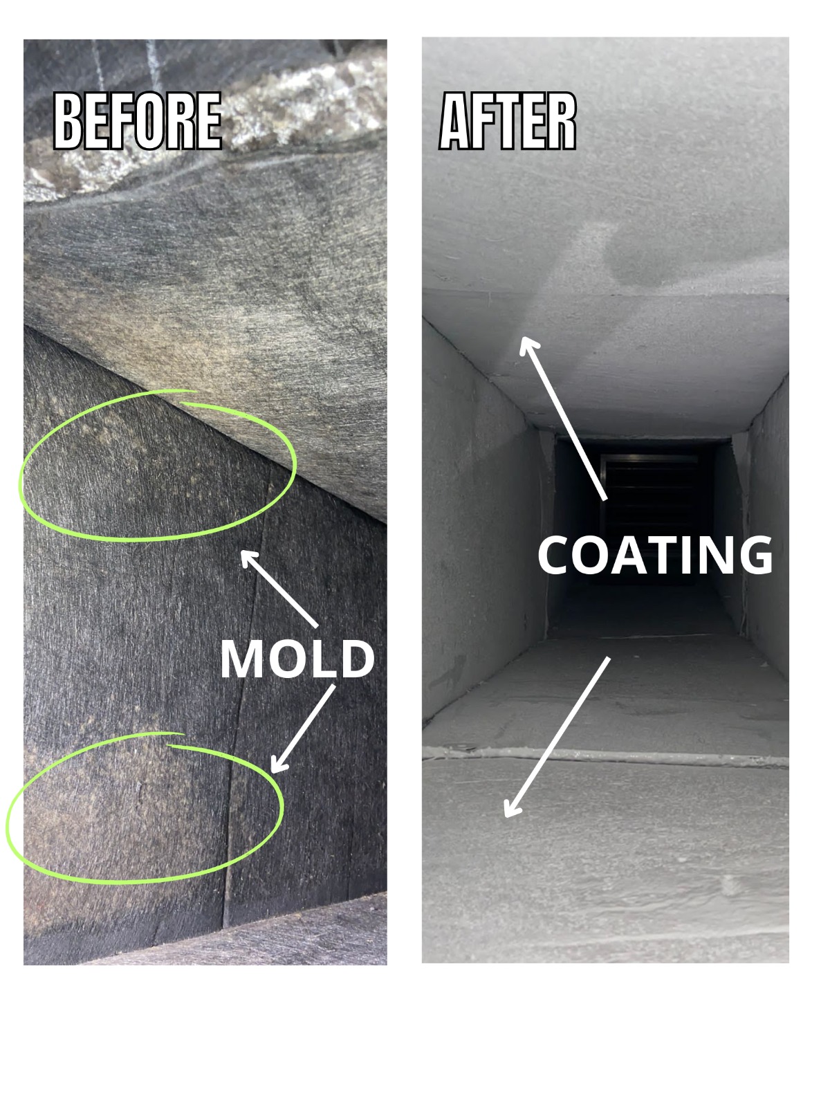 Image for MainDuct Inc. with ID of: 5976454