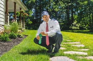 Image for Home Paramount Pest Control with ID of: 5977610