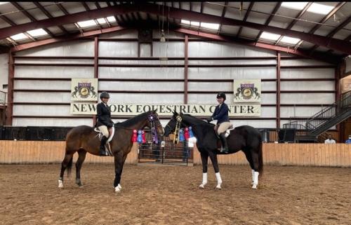 Image for New York Equestrian Center with ID of: 5977958