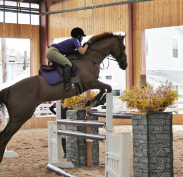 Image for New York Equestrian Center with ID of: 5977961