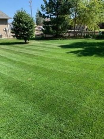 Image for Tillma's Lawn Care with ID of: 5980189