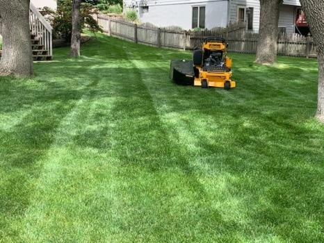 Image for Tillma's Lawn Care with ID of: 5980190