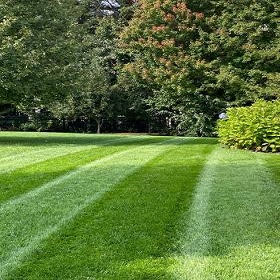 Image for Lawn Phix with ID of: 5980685