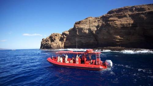 Image for Redline Rafting with ID of: 5985195