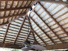 Image for Island Thatch with ID of: 5987915