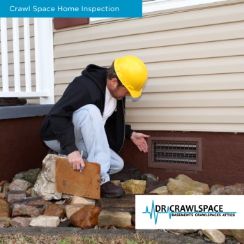 Image for Dr. Crawlspace with ID of: 5988865