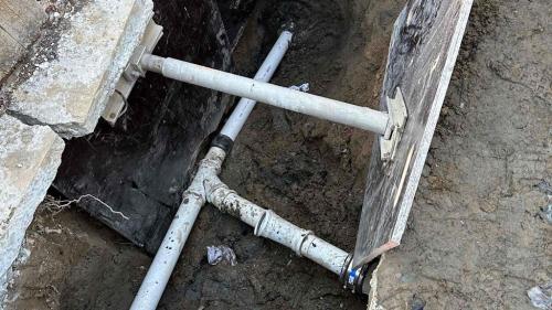 Image for Ready Rooter with ID of: 5989583