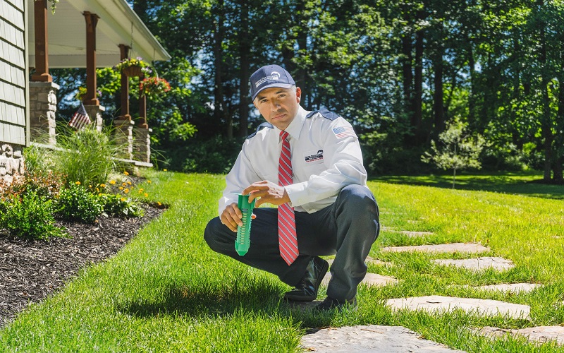 Image for Home Paramount Pest Control with ID of: 5991109