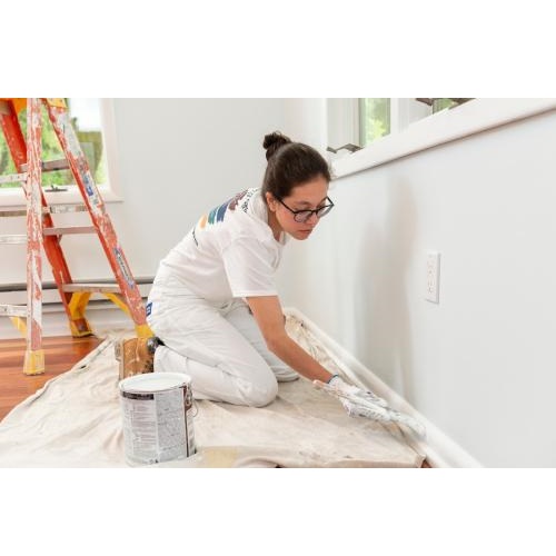 Image for Sabatini Pro Painting with ID of: 5992039