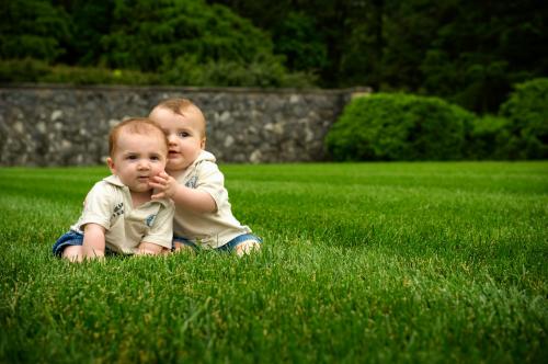 Image for Green Lawn Fertilizing with ID of: 5992114