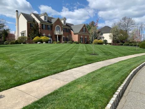 Image for Green Lawn Fertilizing with ID of: 5992123