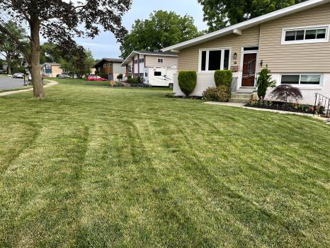 Image for Green Lawn Fertilizing with ID of: 5992124