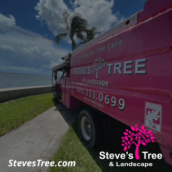 Image for Steve's Tree and Landscape with ID of: 5994275