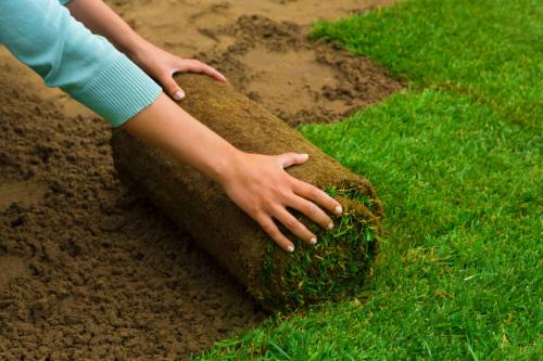 Image for Grass Cutting Services Toronto with ID of: 5996867
