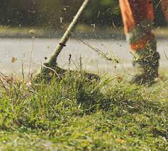 Image for Grass Cutting Services Toronto with ID of: 5996868