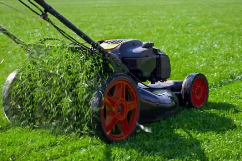 Image for Grass Cutting Services Toronto with ID of: 5996869