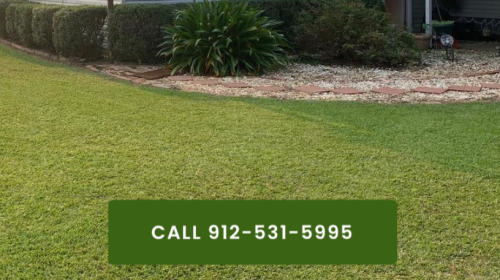 Image for Keep it Cut Lawn Care with ID of: 5997848