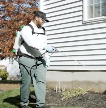 Image for Green Pest Solutions with ID of: 5997882