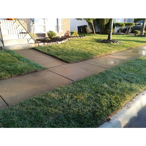 Image for Reliable Lawn Care with ID of: 5998322